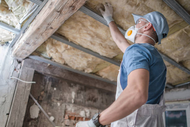 Best Local Insulation Services  in Grand Canyon Village, AZ