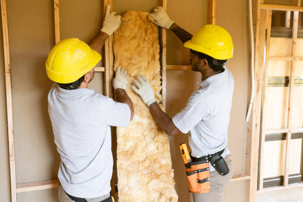 Best Spray Foam Insulation  in Grand Canyon Village, AZ